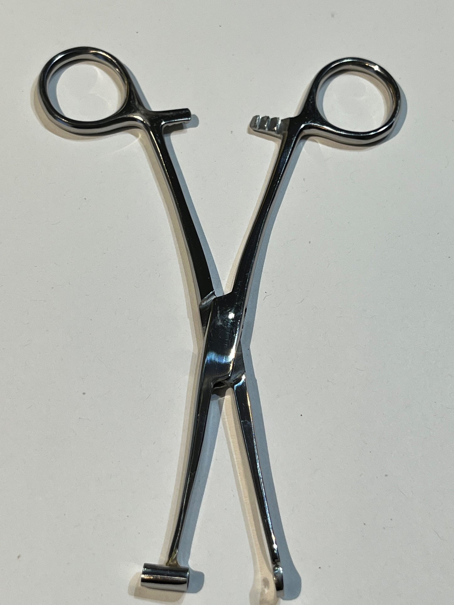 Bucket End Tragus Style Forceps with Lock