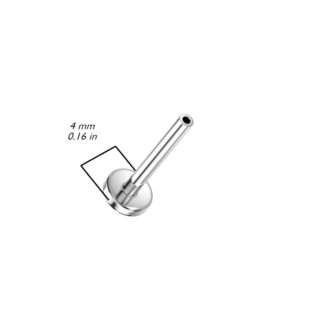 Titanium Internal Thread Labret with Spike