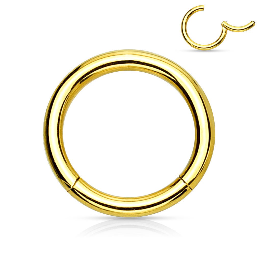 Hinged Surgical Steel Colored Rings 16G