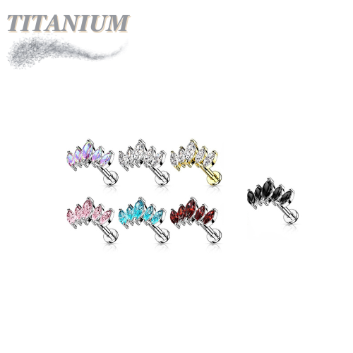 Titanium Threadless 5 Marquise CZ Set Curve Design Labret Combo