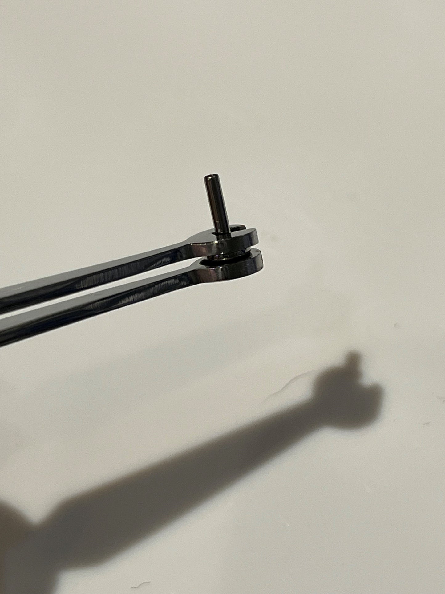 Labret Holding Tweezers