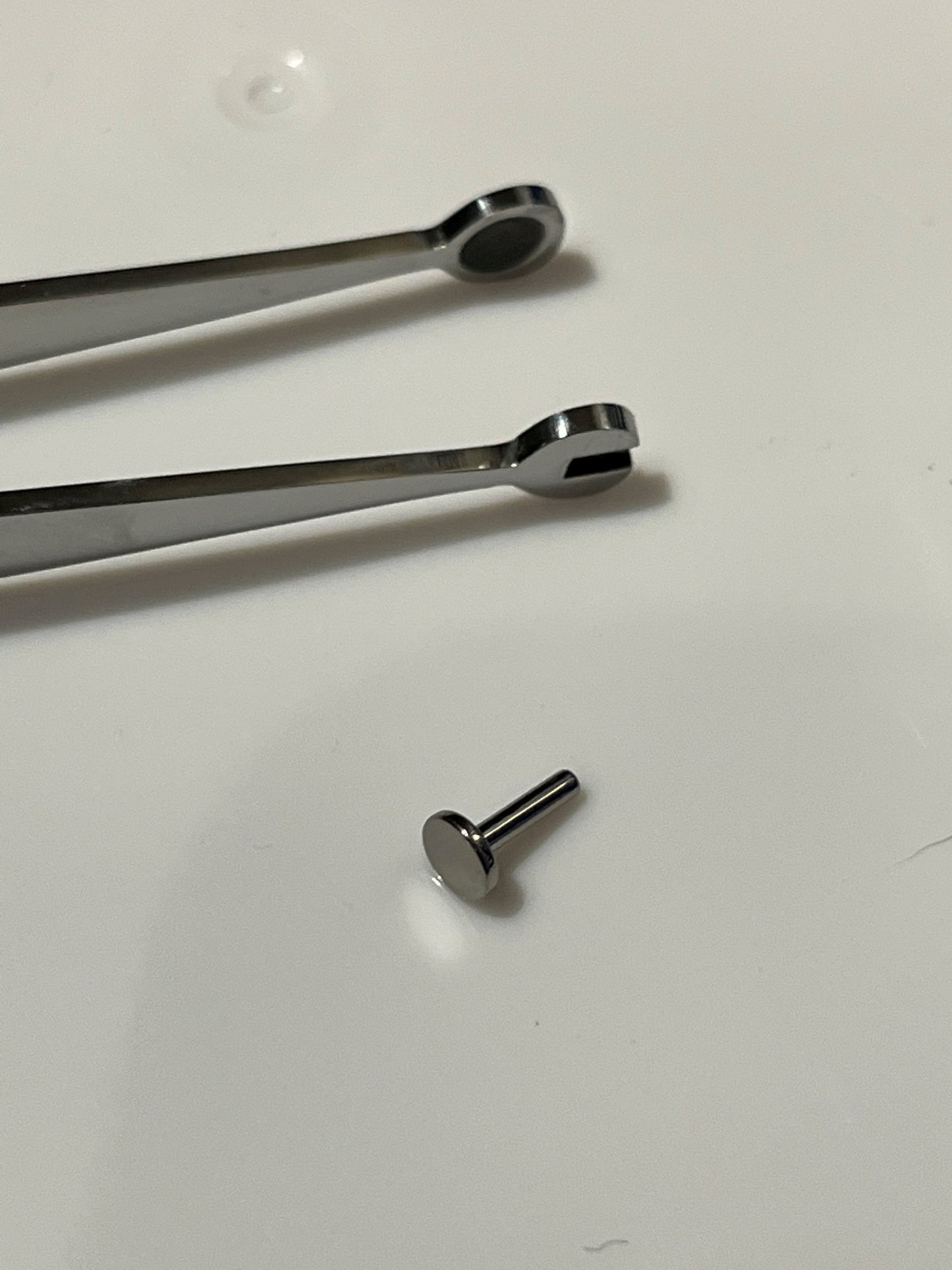 Labret Holding Tweezers