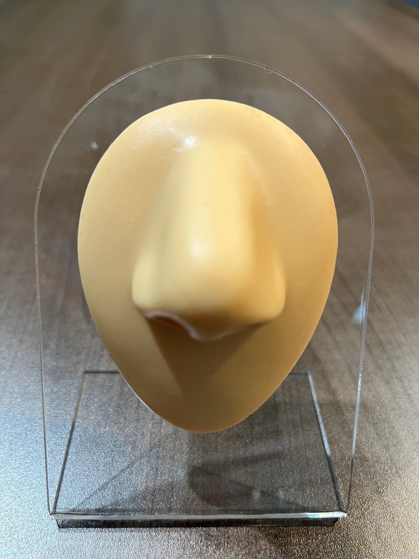 Silicone Practice/Display Parts on Stand