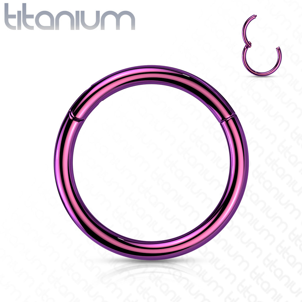 Titanium Colored Hinged Rings 20G and 18G