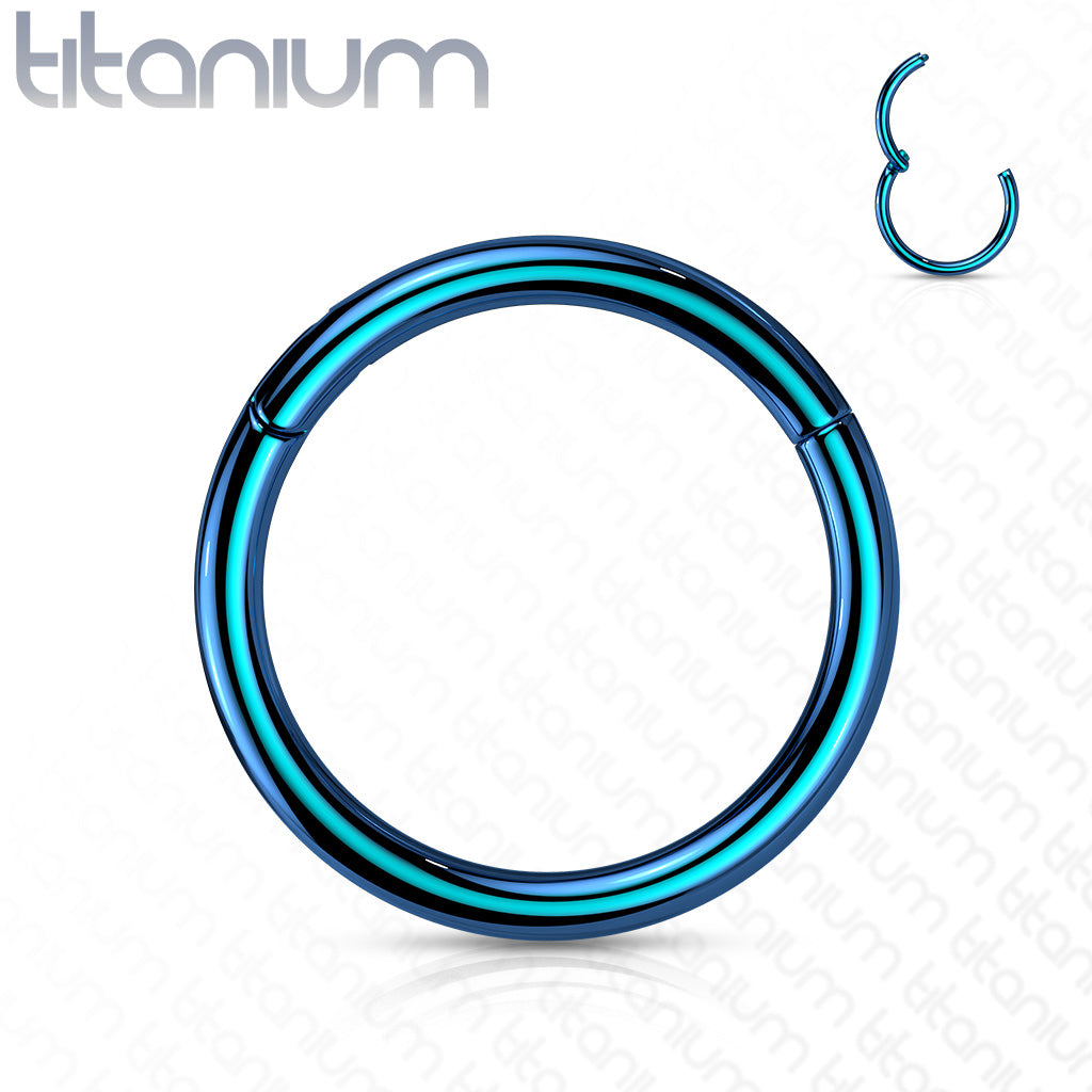 Titanium Colored Hinged Rings 20G and 18G