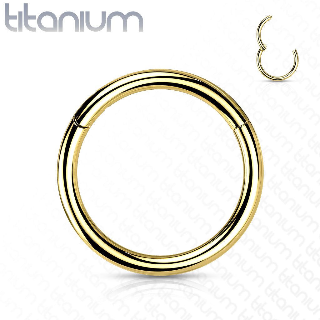 Titanium Colored Hinged Rings 20G and 18G