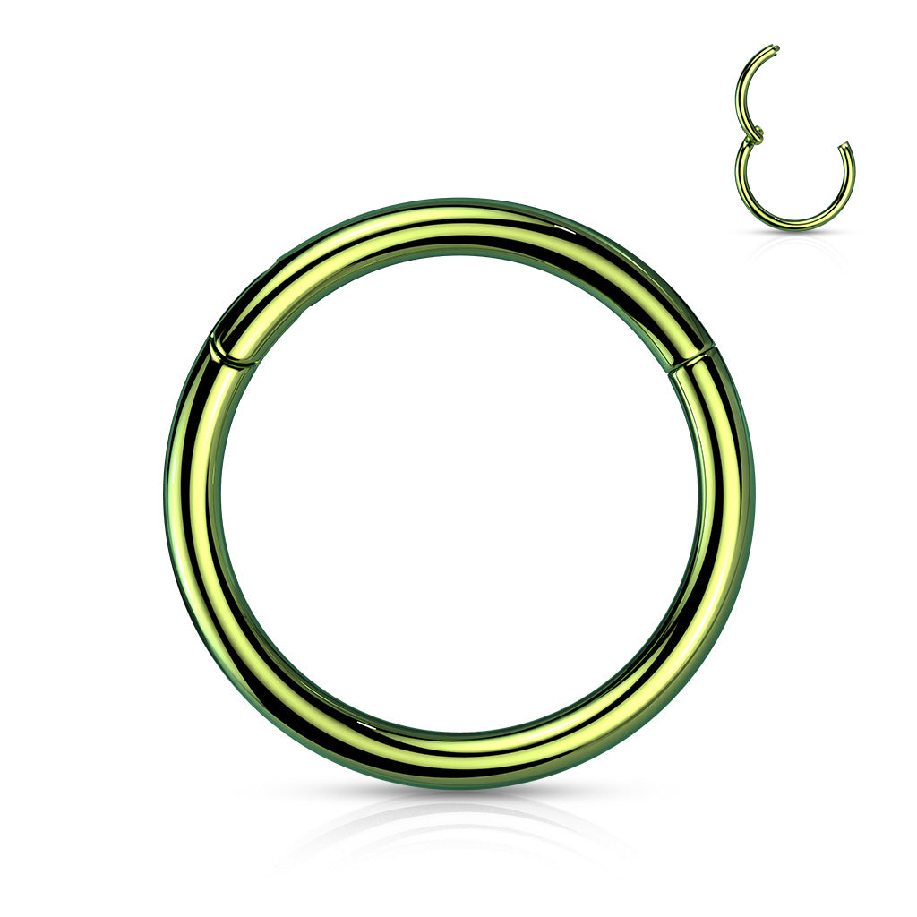 Titanium Colored Hinged Rings 20G and 18G