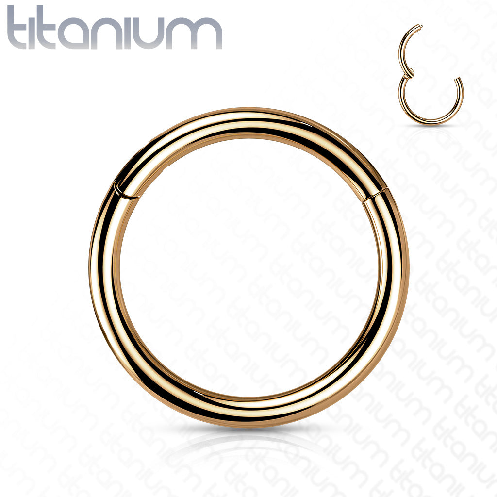 Titanium Colored Hinged Rings 20G and 18G