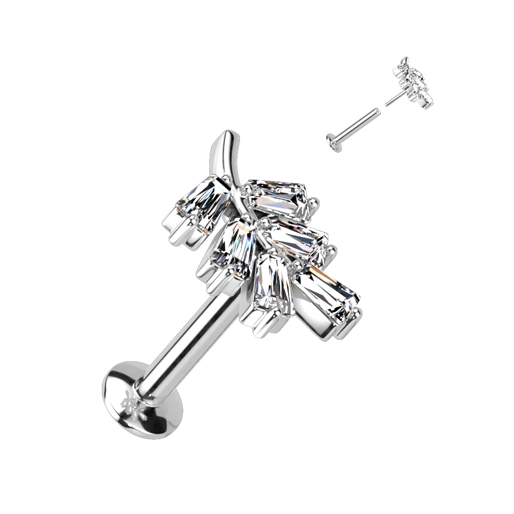 Surgical Steel Threadless CZ Leaf UFO Labret Combo