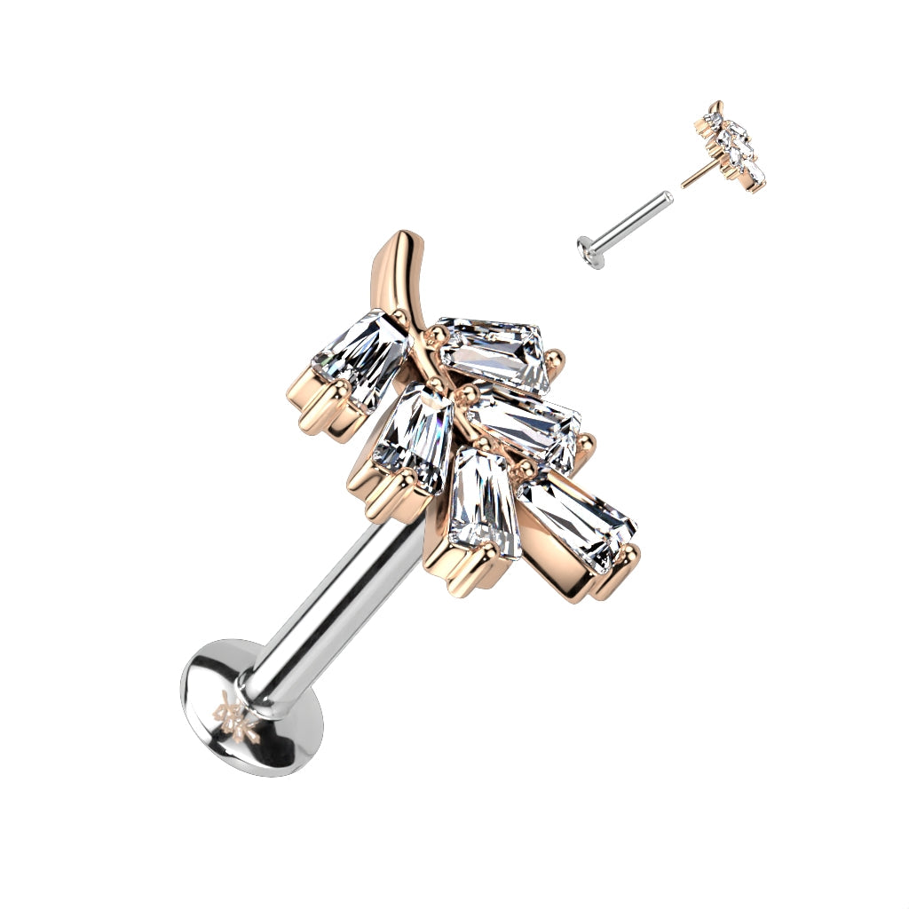 Surgical Steel Threadless CZ Leaf UFO Labret Combo