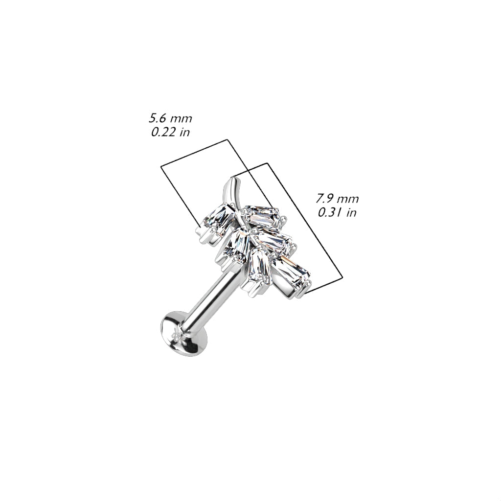 Surgical Steel Threadless CZ Leaf UFO Labret Combo