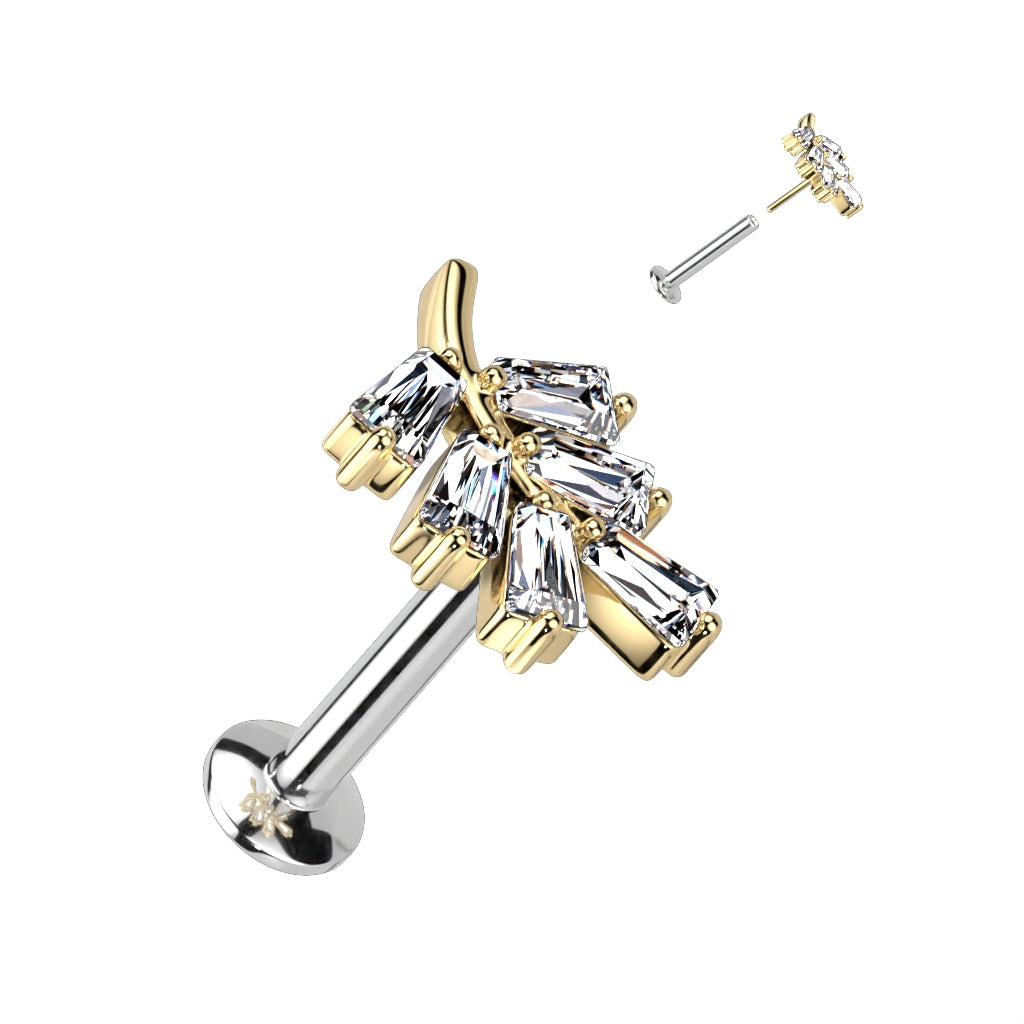 Surgical Steel Threadless CZ Leaf UFO Labret Combo