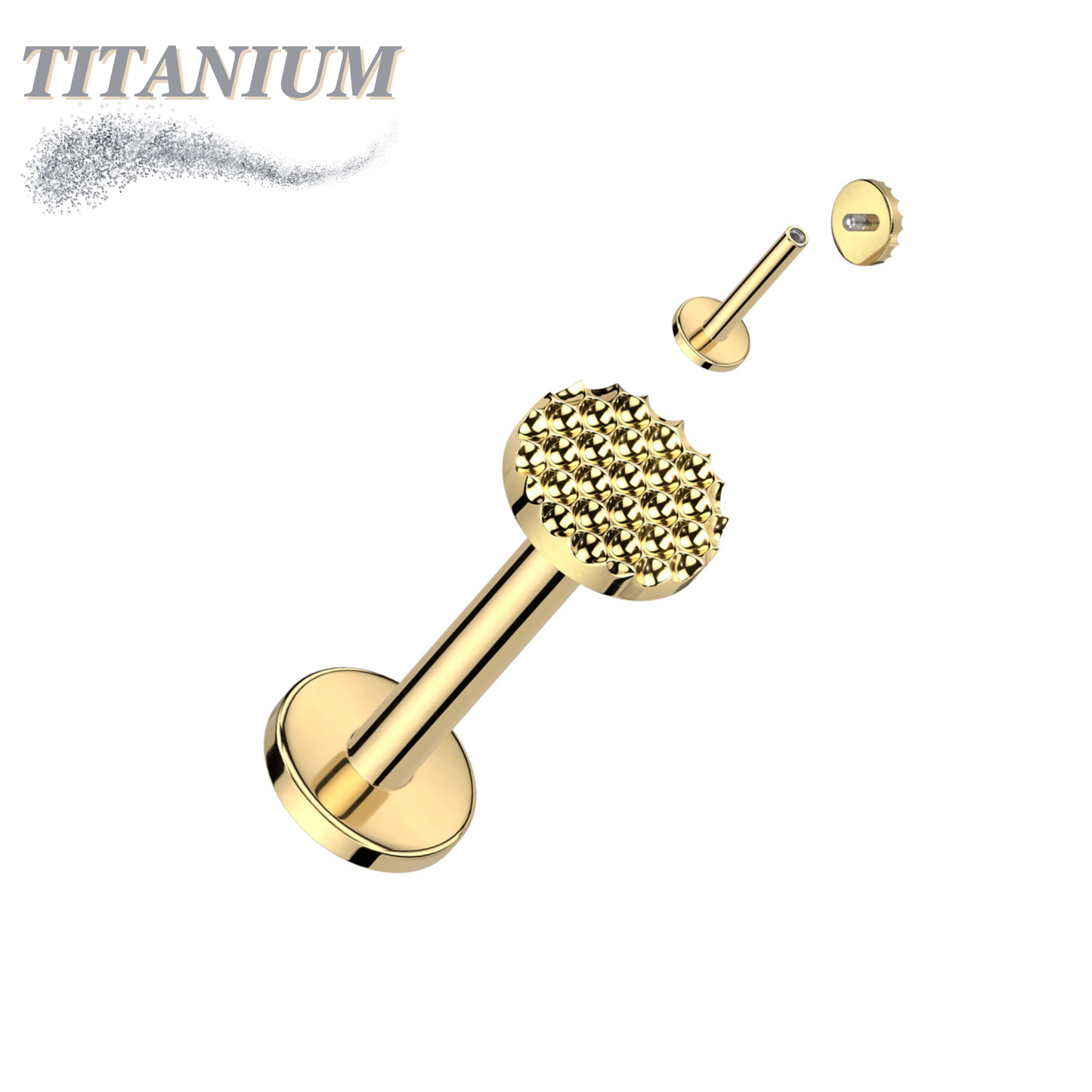 Titanium Internally Threaded Pinhole Pattern Circle Labret