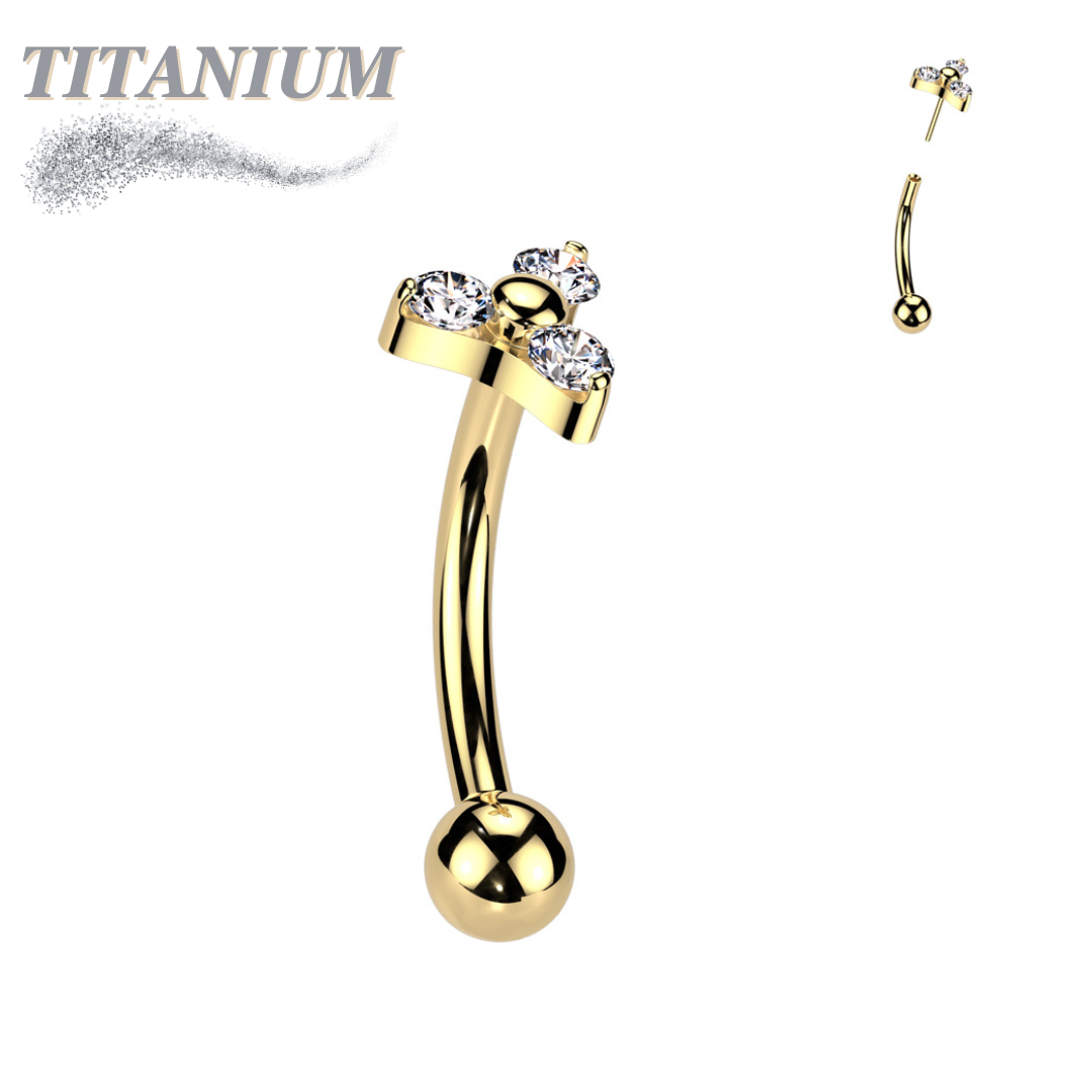 Titanium Curved Barbell with One Fixed Plain Ball and Threadless Prong Set Trinity CZ Top