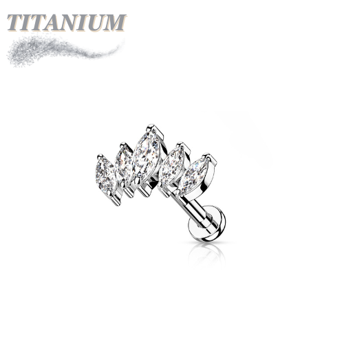 Titanium Threadless 5 Marquise CZ Set Curve Design Labret Combo